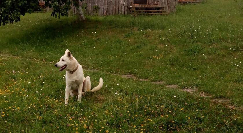 Гостевой дом Wild Crimea Соколиное-18